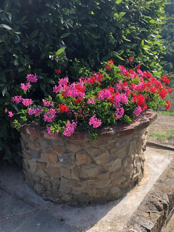 La Casella Farm stay *
