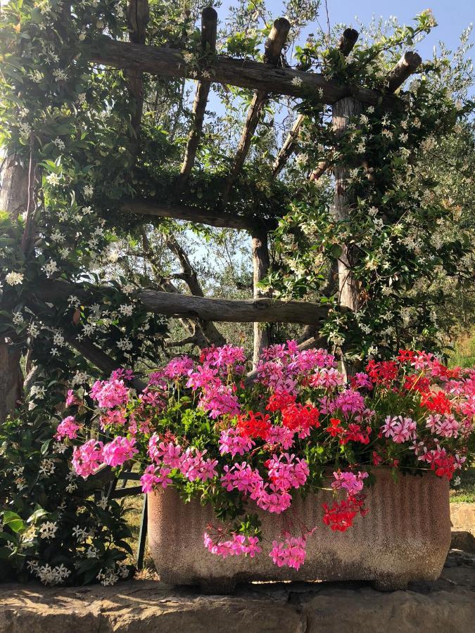 La Casella Farm stay