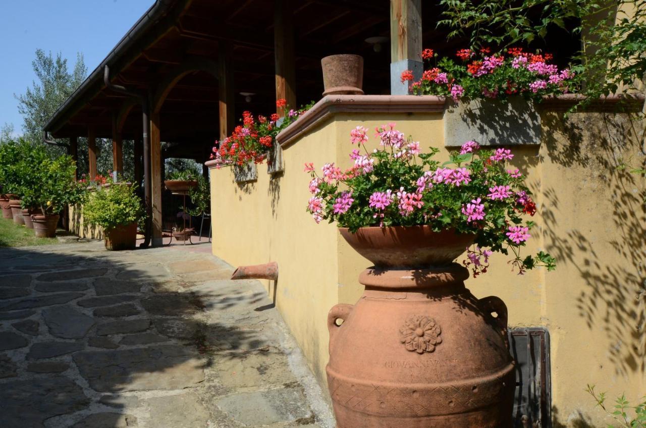 La Casella Alloggio per agriturismo Castelfranco di Sopra